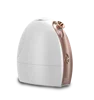 Promotional Price Handy Nano Facial Cool Mist Sprayer