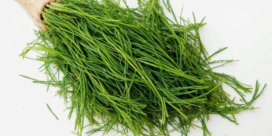Why Dill Deserves a Bigger Role in Your Spice Rack: A Flavorful Guide