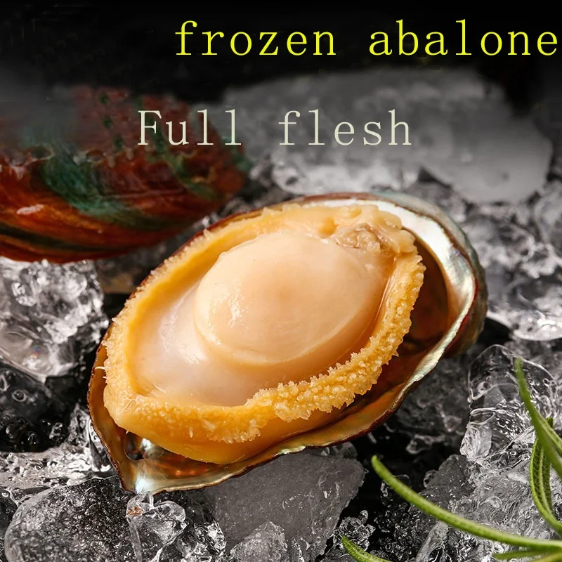
Hot-selling Nutritious fresh live shellfish Dried Abalone 