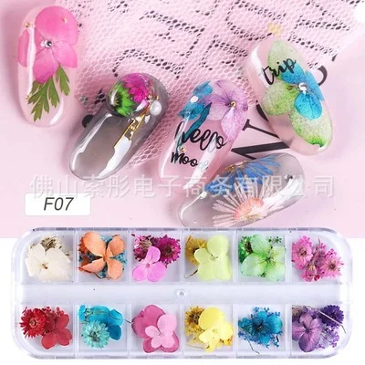 

Wholesale Nail Art Dried Flowers Japanese Gypsophila Sun Flower 3D Nail Art, 12 colors