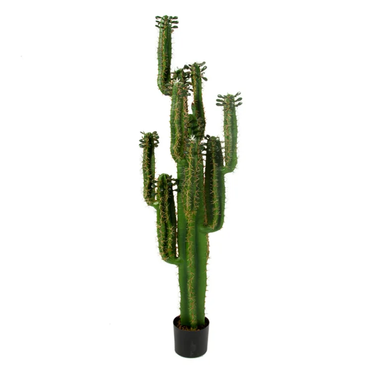 

153 cm plastic material and high realistic artificial cactus for indoor decoration artificial cactus Artificial plant, Green or yellow edge