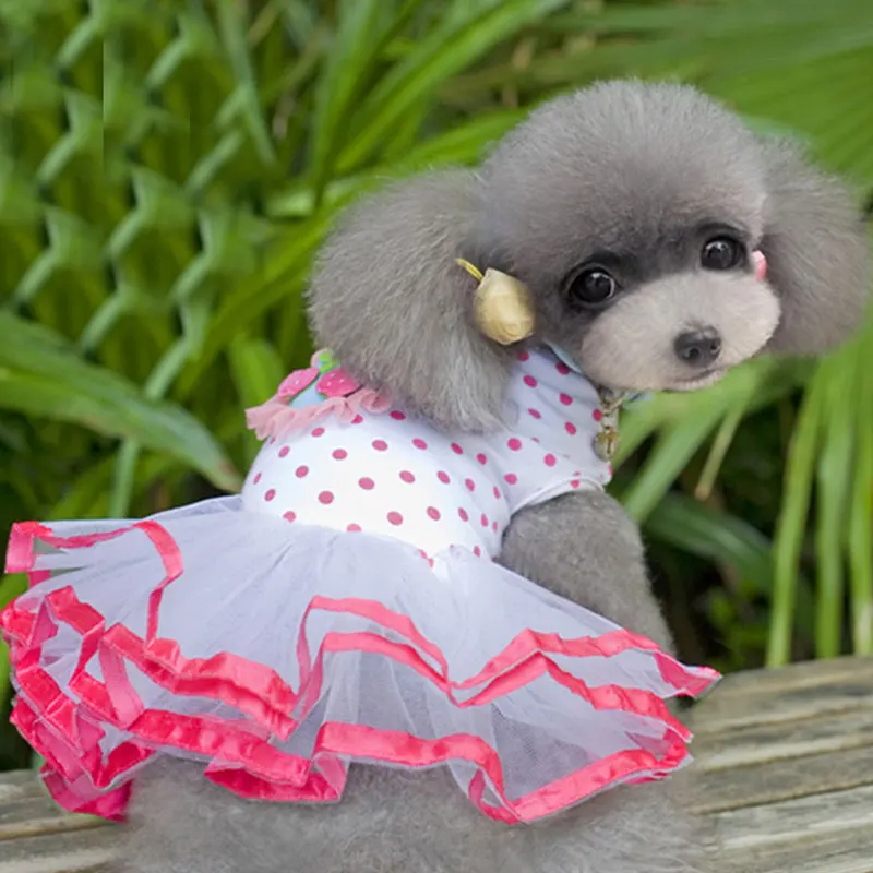 

Drop shipping new dress designs 2021Spring autumn dog clothing pettiskirt Dog Dresses, 1colors