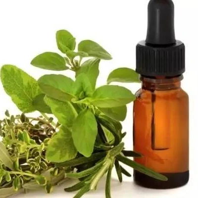 

Oil Private Label OEM Natural Plant Extract Skin Firming And Tightening Anti Cellulite marjoram essential oil for skin care