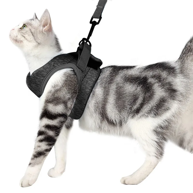 

High Quality Wholesale Colorful 2022 Adjustable Accessories Harness Vest Walking Luxury Soft Nylon Mesh Cat pet harnesses Set, 3 colours
