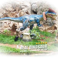 

Amusement Park Products Realistic model Mechanical Animatronic Dinosaur