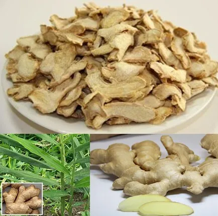 
air dry ginger dehydrated vegetables ginger zingiber officinale for buyer 
