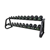 Used Dumbbell Rack /Commercial Gym Equipment/10 Pairs Dumbbell Rack