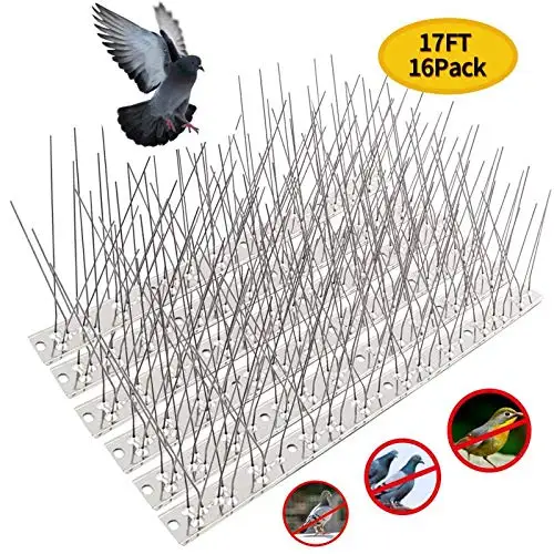 

Stainless Steel Base Repellent cat Spikes Anti small Bird Pigeon squirrel Spike, Silver