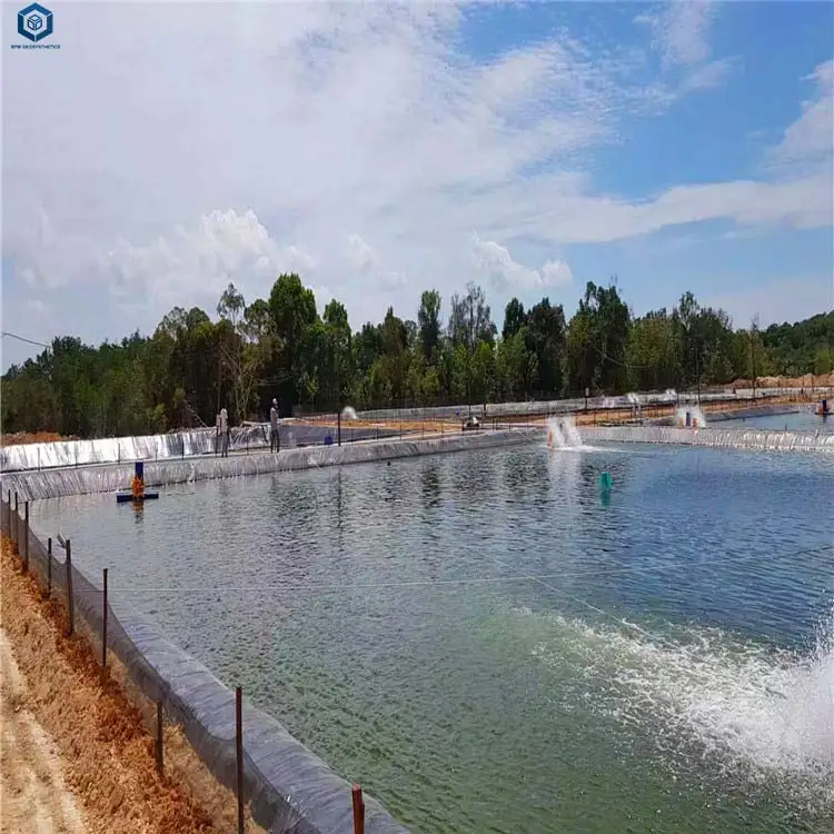 
HDPE Geomembrane Liner for Swimming Pool and Shrimp Pond 