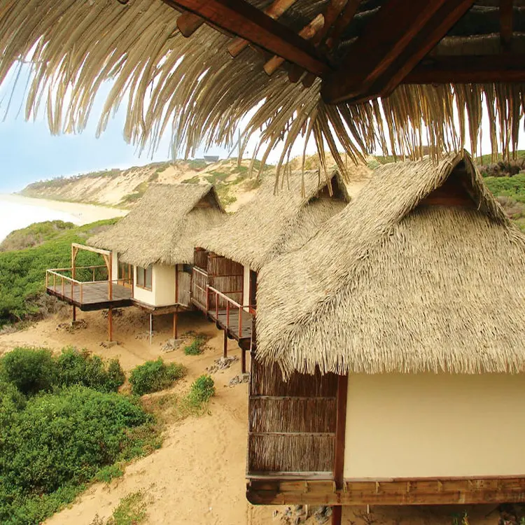 rioha-3