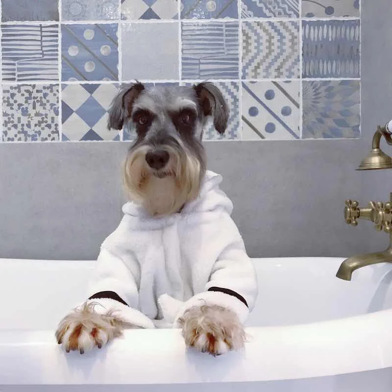 

White Simple Stripe Pet Pajamas New Popular Cute Faraday Schnauzer Clothing Teddy Keep Warm Autumn Winter Bathrobe