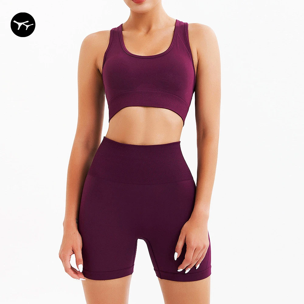 

2 Piece Seamless Women Sports Bra And Short Legging Set Ladies Yoga Sets