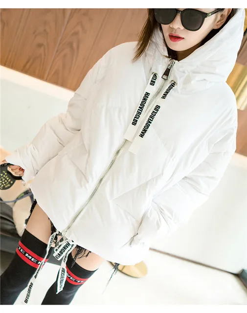 

Korean Style Unisex Zipper Hooded Coat Youth Fashion Adults White Black Winter Down Jacket, Gray oem