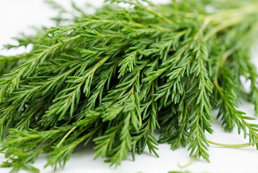 Cooking With Herbs
