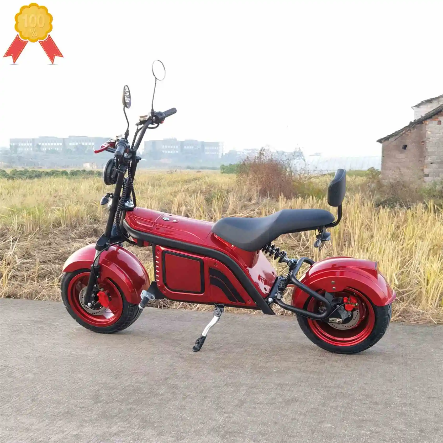 

60V Voltage And 40-60 Km Range Per Charge Electric Scooter 1500 W Citycoco Scooter