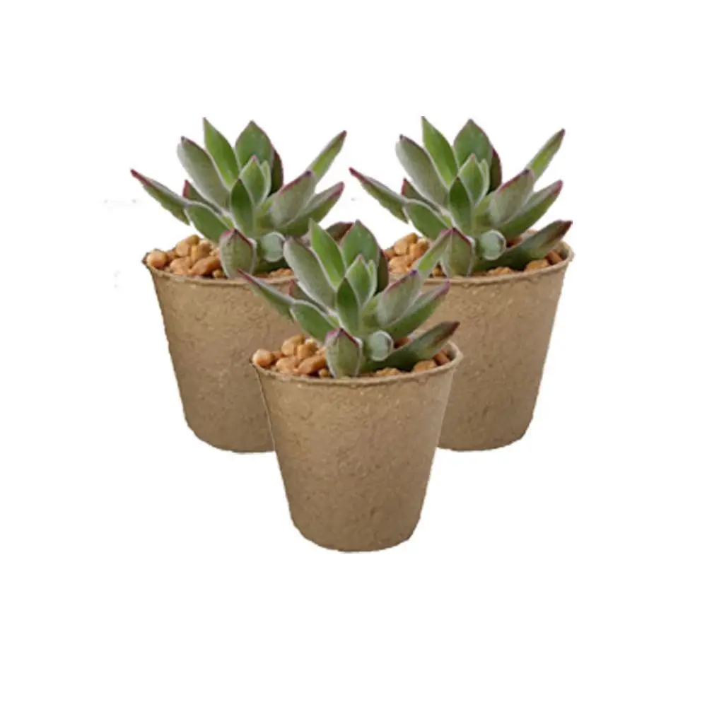 

Wholesale Paper Seeding Grow Cups Garden Biodegradable Plant Pot