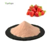 Wholesale Natural Drink Mix Spray Dried Concentrate Competitive Price Free Sample Bulk Organic Strawberry Fruit Juice Powder