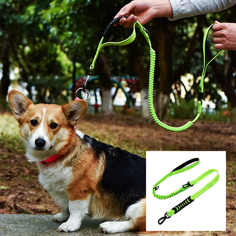 

padded reflective fashionable dog leash swivel carabiner luxury