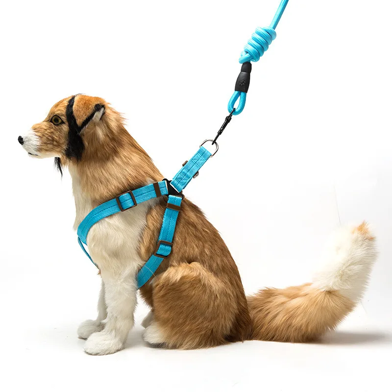 

Fashion Safety Easy Walking Soft Padded Dog Vest Nylon Pet Harness With Leash Set