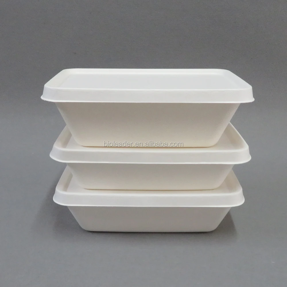 

2 Compartments Biodegradable Sugarcane Bagasse Fast Food Bento Box Container, White,unbleached