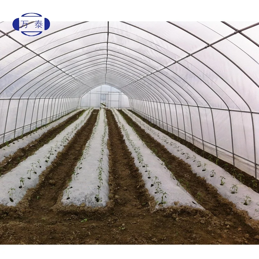 
China factory eco friendly Light conversion film uv reflective film for agricultural greenhouse 
