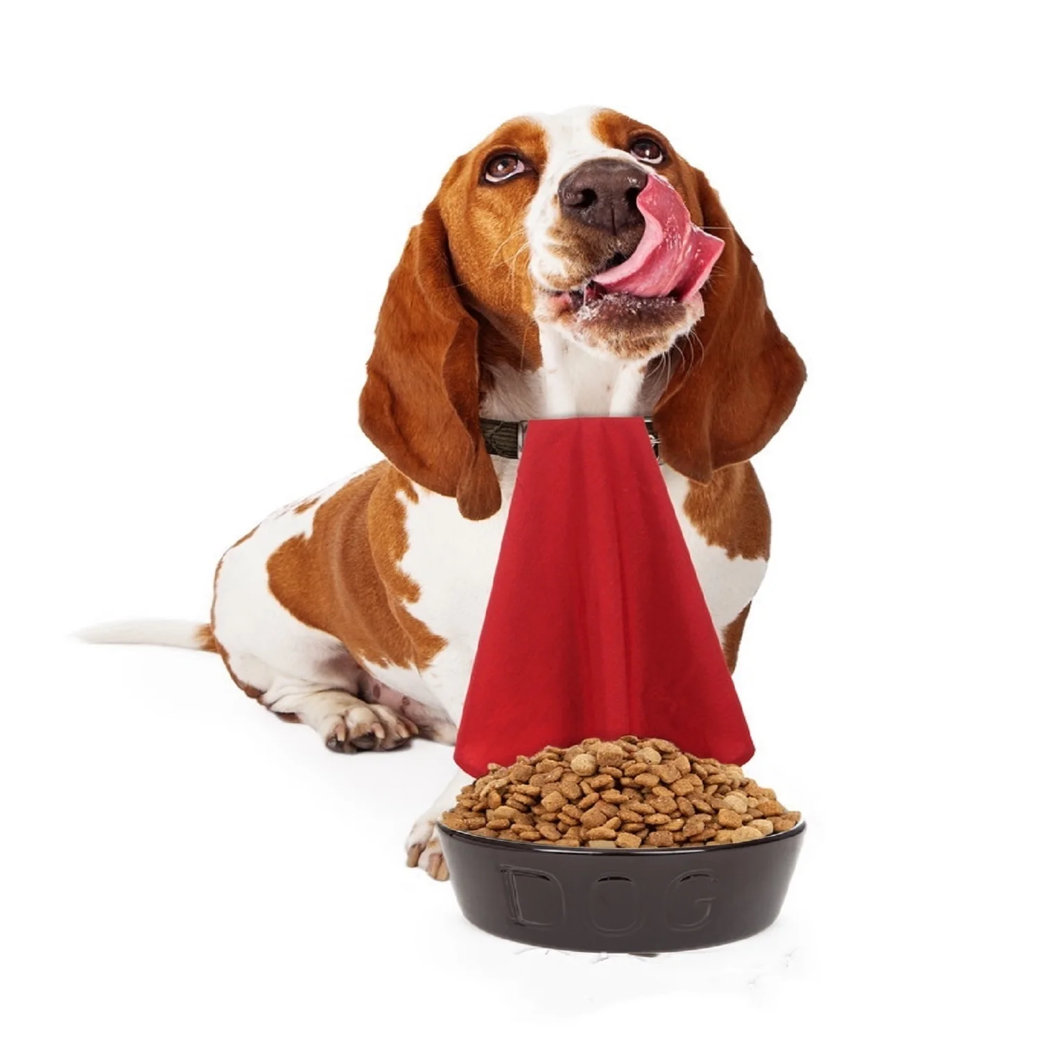 

Hot selling nutrient-rich and high-protein safe and healthy pet dog food, Natural color