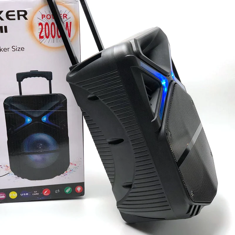 

DS-1001 big speakers super bass outdoor dj trolley wireless bt speaker