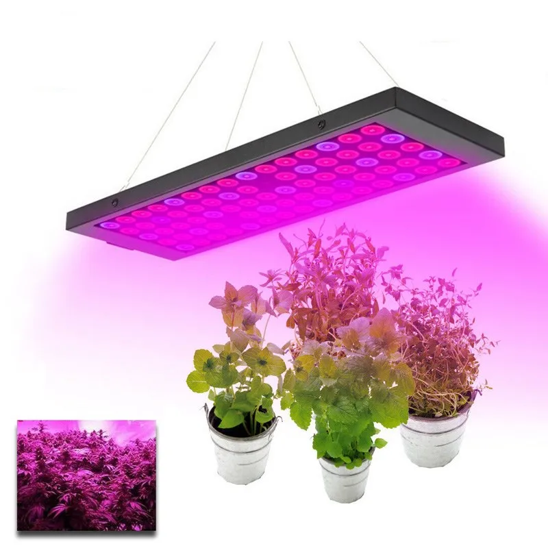 Set For Horticulture Indoor Plants Lamp 40W Chips Full Spectrum Ir Panel UV Medical Led Grow Light