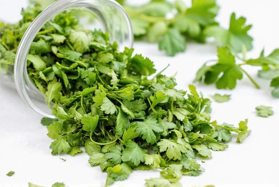 Coriander in Indian Cooking: Leaves vs Seeds Explained