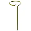 Solid steel painted Single stem plant support