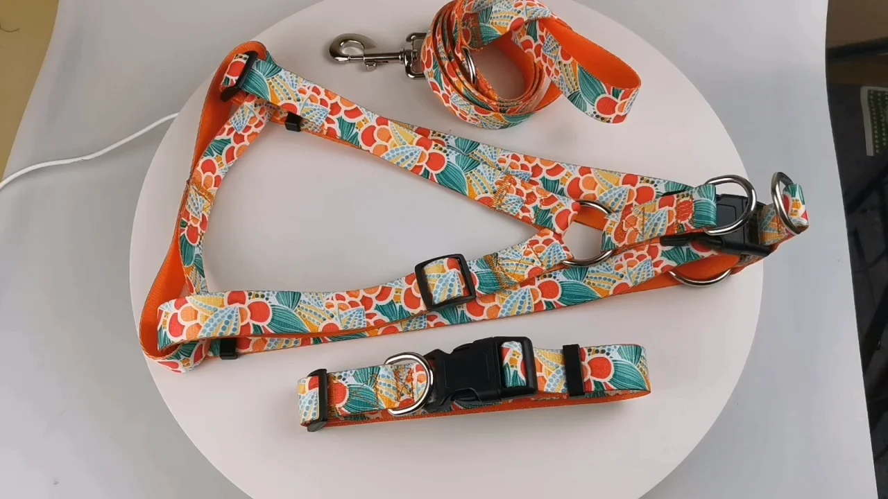 Custom No Pull Dog Collars And Leashes And Harnesses Sets Tactical Soft