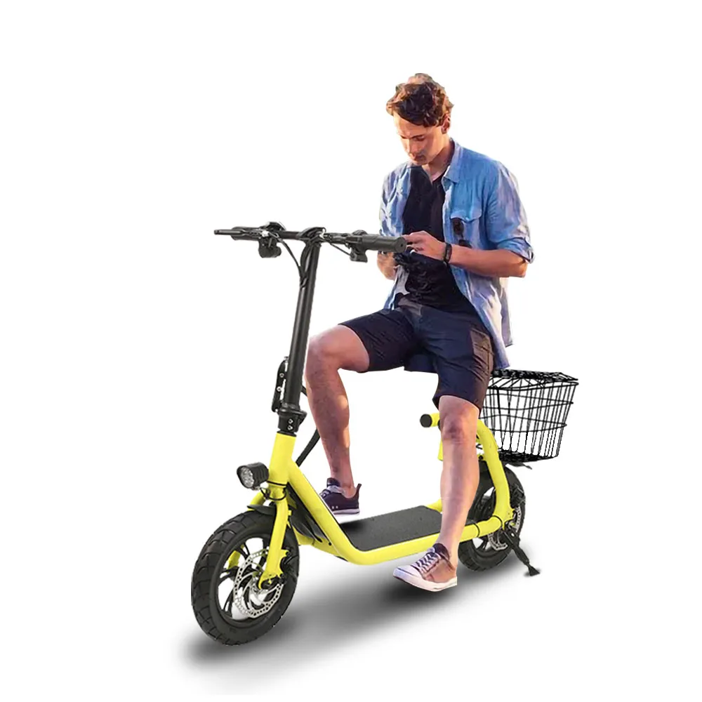 

Professional Fast Charger Mobility Pedal Seat Roller Saddle Electric Scooter