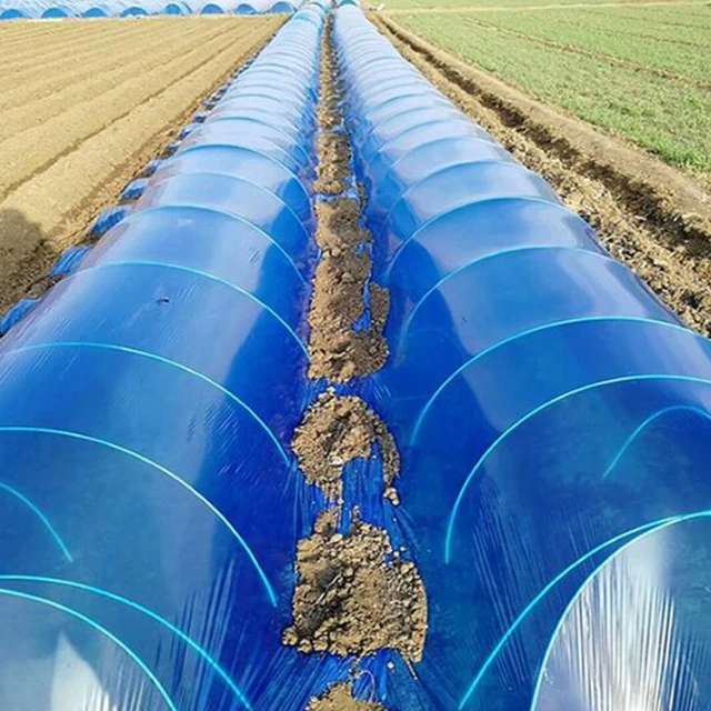 农业温室薄膜 pe膜温室塑料薄膜