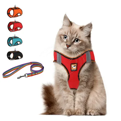 

2021 new cat and dog braces set pet harness products poodle teddy dog braces leash, Picture shows