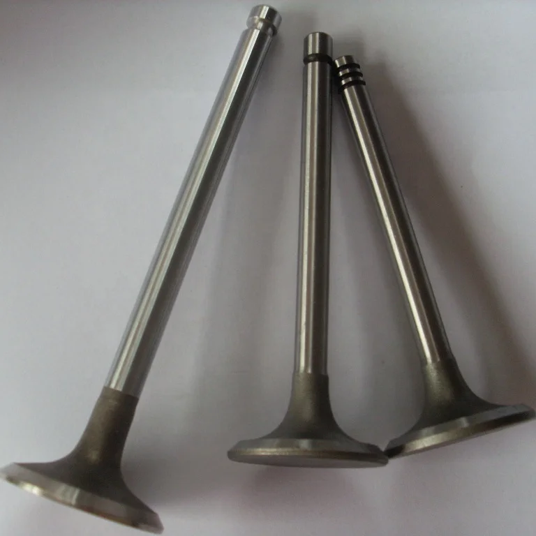 intake and exhaust valve.JPG