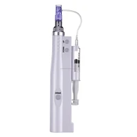 

New 2 in 1 Mini Water Mesotherapy Injector Nano Derma Pen Electric Microneedle Pen For home use