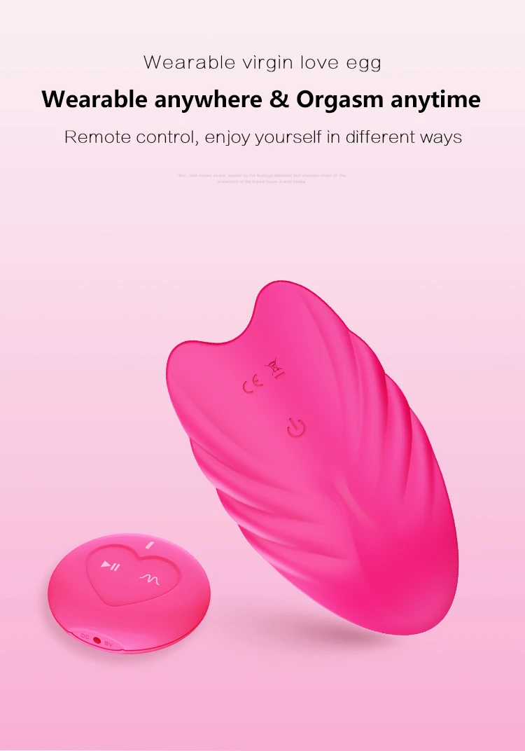 Vibrating Egg G Spot Clitoral Vibrator Panties Bullet Hidden Wearable