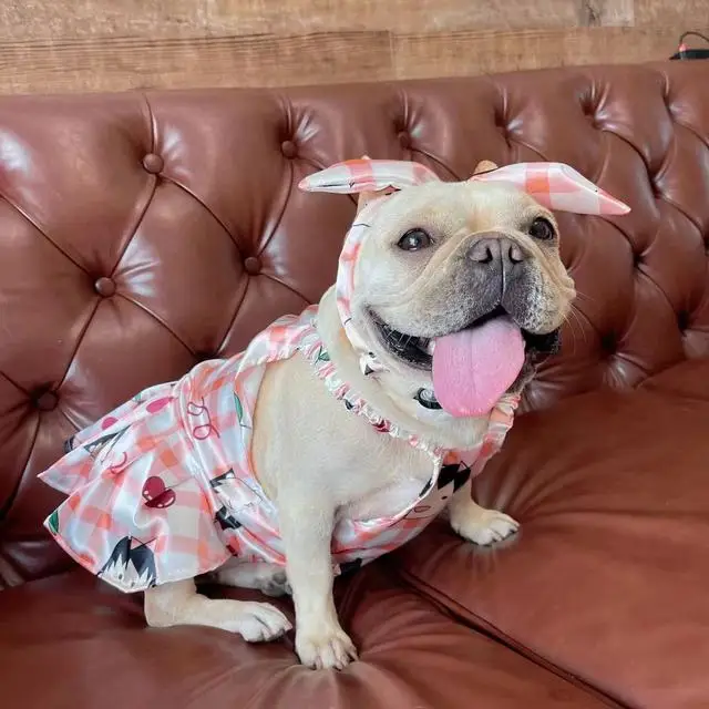 

New summer pet dress suit breathable pet clothes pink sling cute fat dog dress