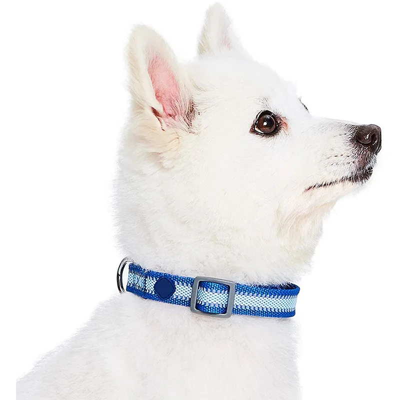 

Personalized Adjustable Custom Nylon Collar Supply Puppy Pet Collar, Customized color