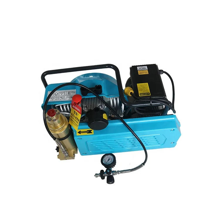 
Cheap High Pressure 100 L air Compressor for breathing apparatus 