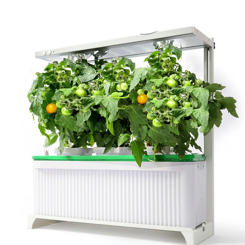 

professional smart garden home garden vertical wall plant garden indoor LED hydroponics grow system supplier, White