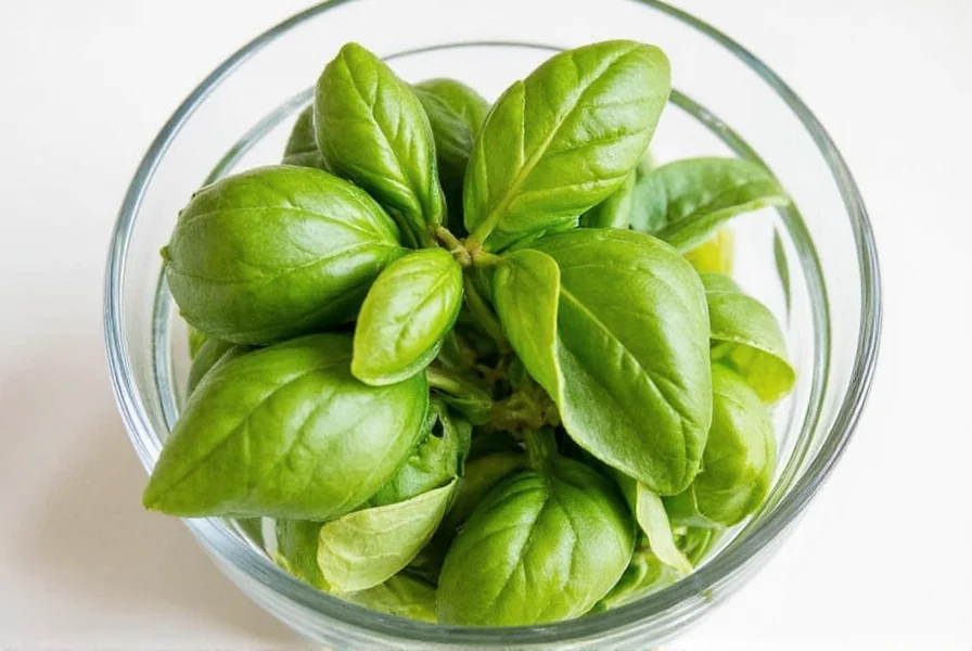 Basil in Water