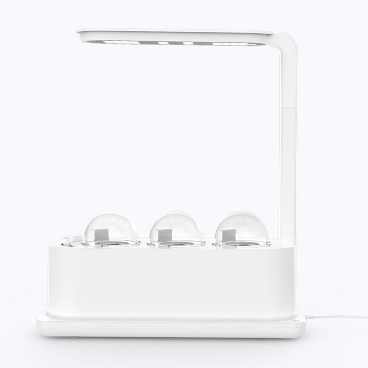 

Greenhouse Tent Green House Indoor Desktop Hydroponic Mini Grow Tent Box