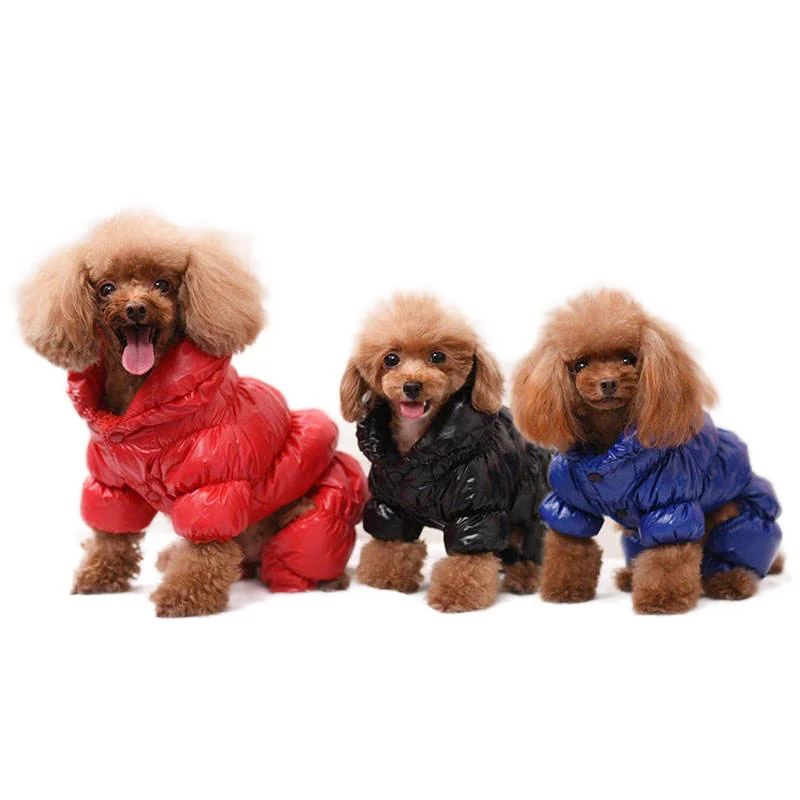 

Manufactures Designer Custom Amazon Black Dog Coats Winter Pet Clothes