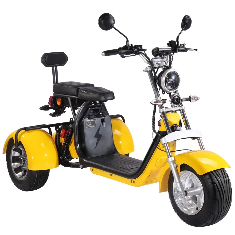 EEC/COC Certificated Electric Tricycles 1500W 12AH/20AH Three wheel Electric Scooters Citycoco Adults