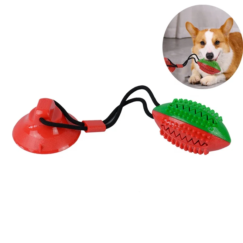 

Hot sale Dog TPR Toys Silicon rubber Suction Cup sucker rugby Ball Toy For Puppy Pet Chew Bite Teeth Cleaning molar Toothbrush