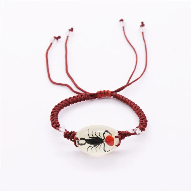 

Luminous resin Real Insects amber stone scorpion bracelet, As picture
