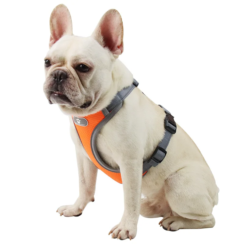 

Amazon Hot Sale Wholesale Pet Supplier Comfortable Durable Dog Harness And Leash Pets Accessories, Light blue/orange/blue