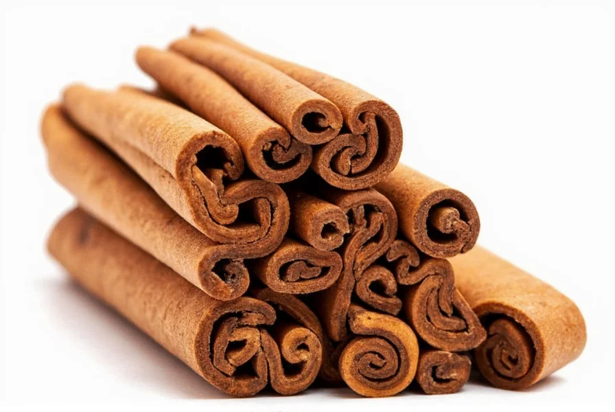 Close-up comparison of Ceylon cinnamon sticks showing their thin, multi-layered structure versus the single thick layer of Cassia cinnamon