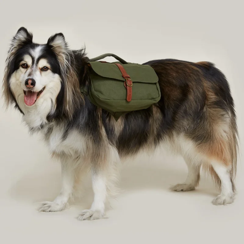 

Canvas Adventure Dog Backpack Ranger Pack Multi-size Pet Travel Bag for Hiking, Green,brown & custom